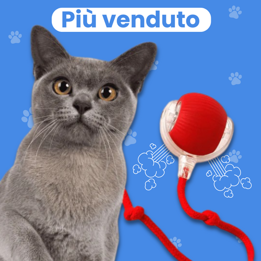 Palla magica: l’alleata perfetta per un gatto curioso e vivace!